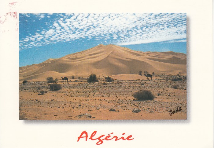 algeria2