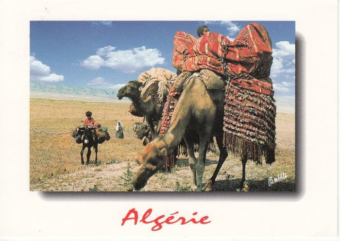 algeria4