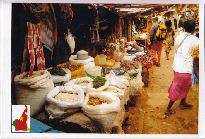 cameroon1