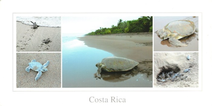 costarica___1000