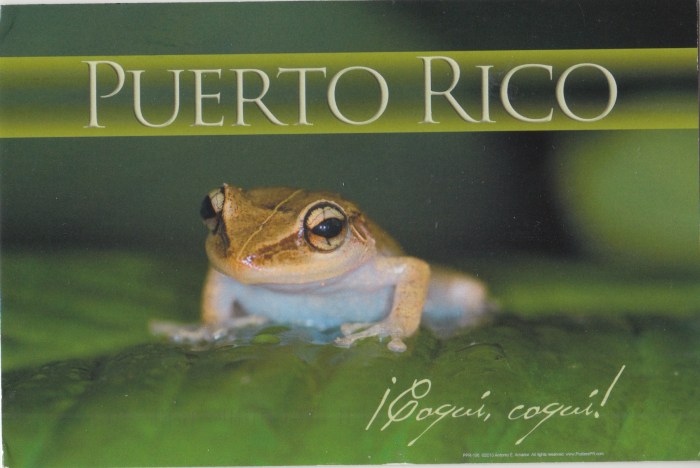 puerto_rico___501