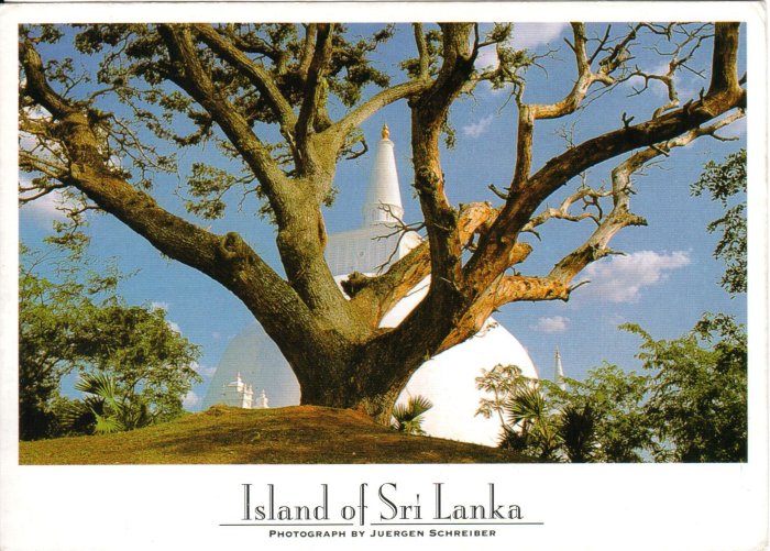 srilanka4