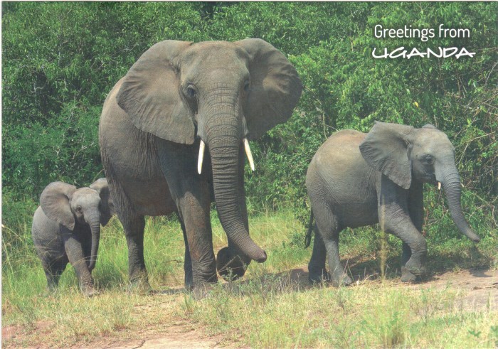 uganda_2
