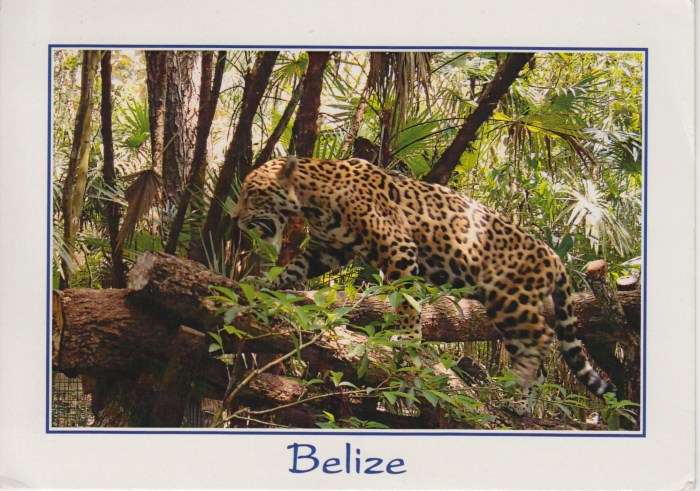 belize2
