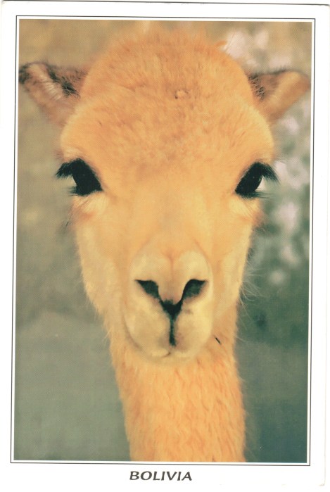 bolivia___1002