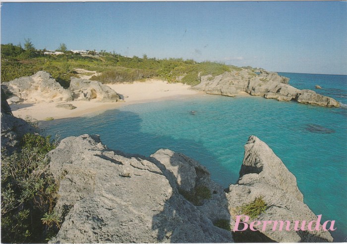 bermuda_3