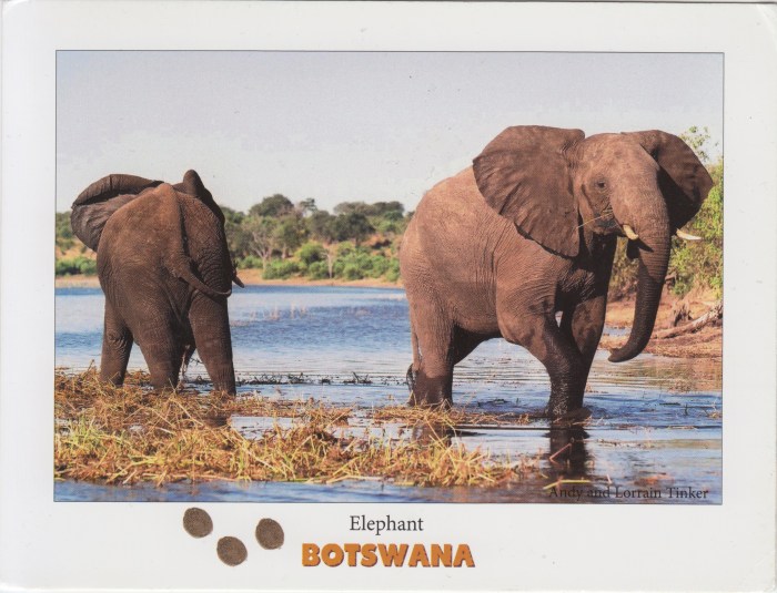 botswana_1