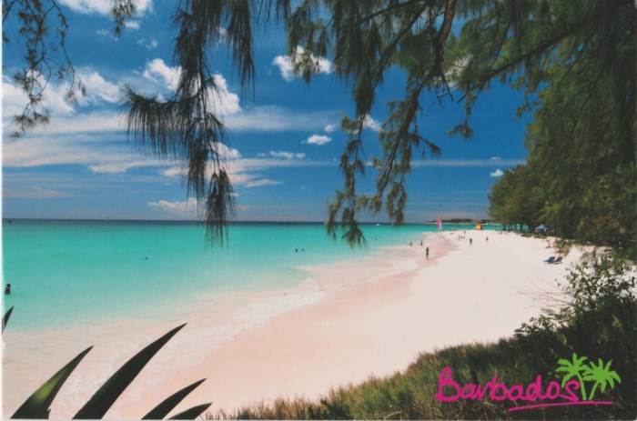 Barbados_2019_D