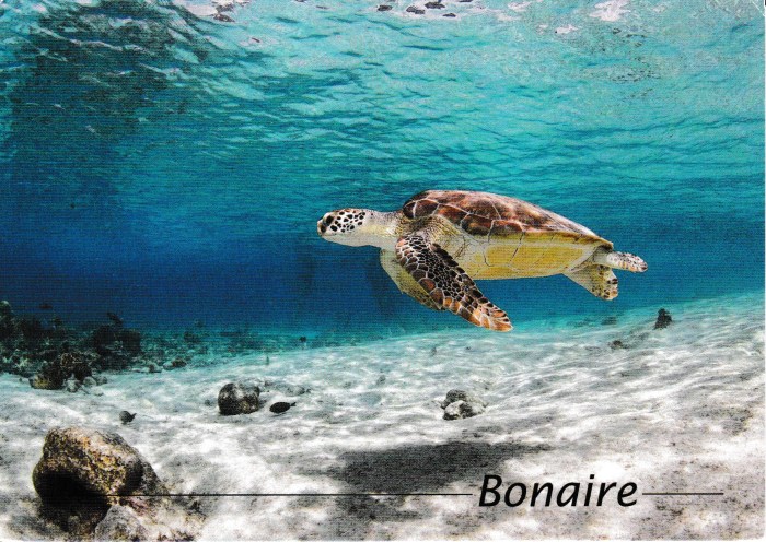 Bonaire_2020