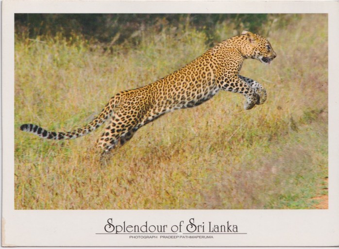 Sri_Lanka_2023_1