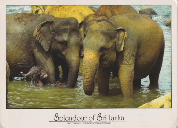 Sri_Lanka_Ald3