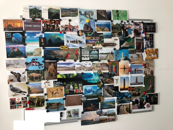 Petr_Board_2023_July