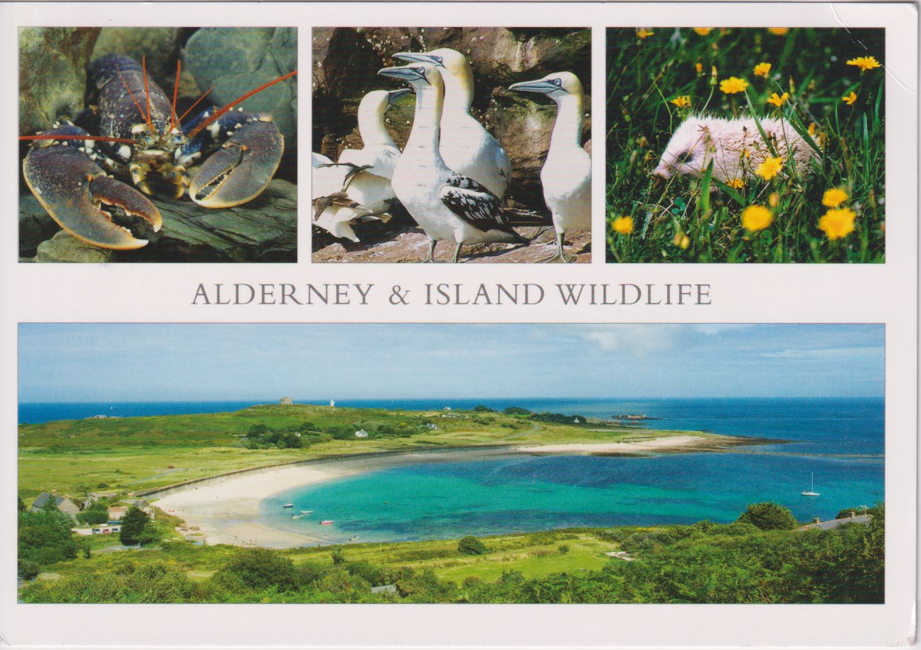 Alderney9-23
